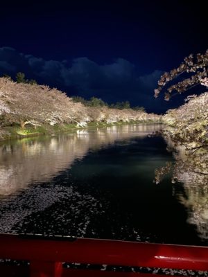 弘前市　水面　反射　鏡　夜桜